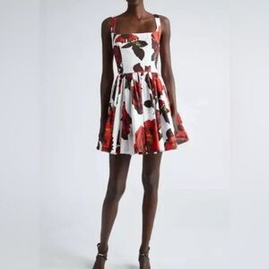 Alexander McQueen Rose Pleated Cotton Skater Dress